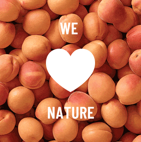 products not tested on animals