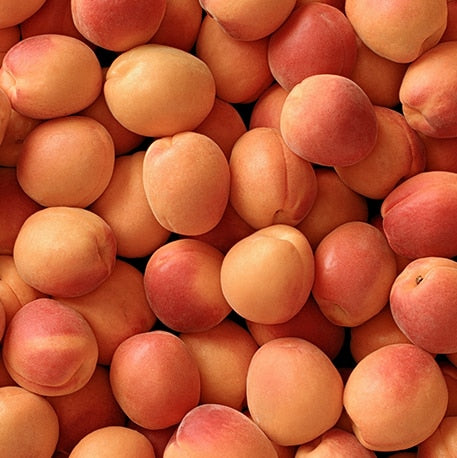 St. Ives Apricot Scrub – Why We Love Apricot